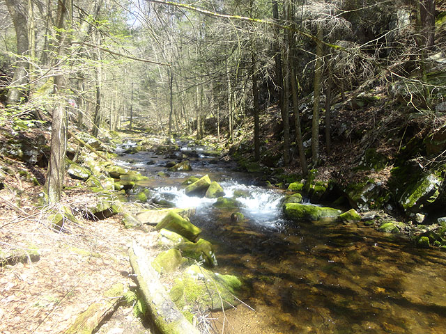 DSC01488.jpg -                                A beautiful stream made even prettier because of the absence of other fishermen.