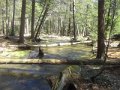 DSC01478