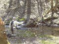 DSC01487