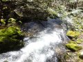 DSC01489