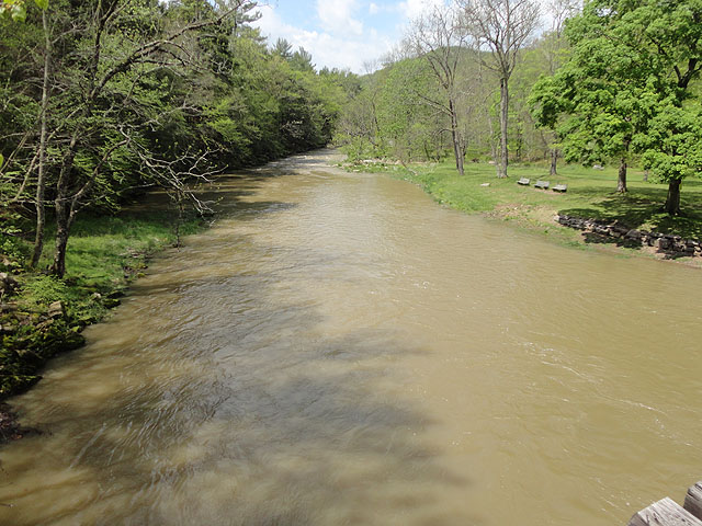 DSC00715.jpg -                                Penns creek.  Can you say chocolate? Wasn't any dry fly fishing this trip.