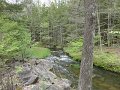 DSC00719