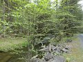 DSC00720