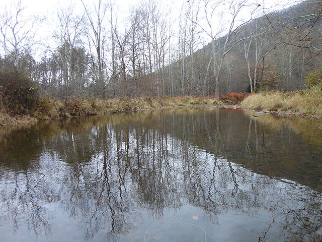 DSC01331.jpg -                                Had to stop at Cross Fork on the way out.