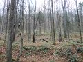 DSC01315