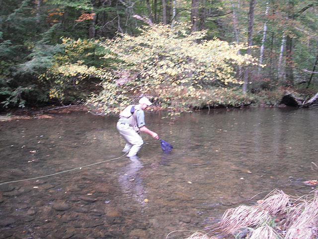 DSCF0269.jpg