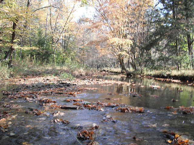 DSCF0289.jpg