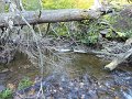 DSC01216