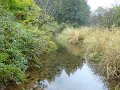 DSC01250