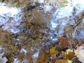 DSC01262