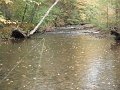 DSCF0273