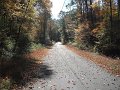 DSCF0281