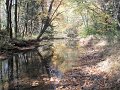 DSCF0287