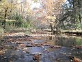 DSCF0289