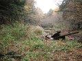 DSCF0314
