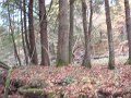 DSCF0317