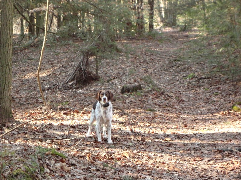 DSC00527.jpg - He knows it time to go home.