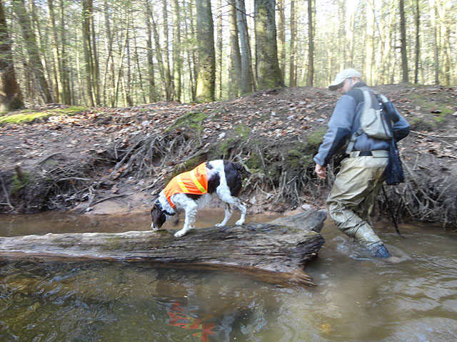 DSC01376.jpg -                                His balance is, obviously, better than mine.