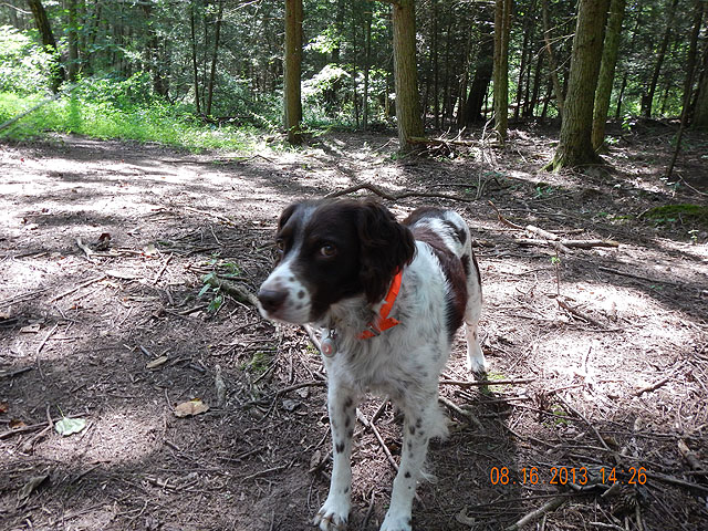 DSCN0024.jpg -                                Always under the watchful eye of my faithful and constant companion. 