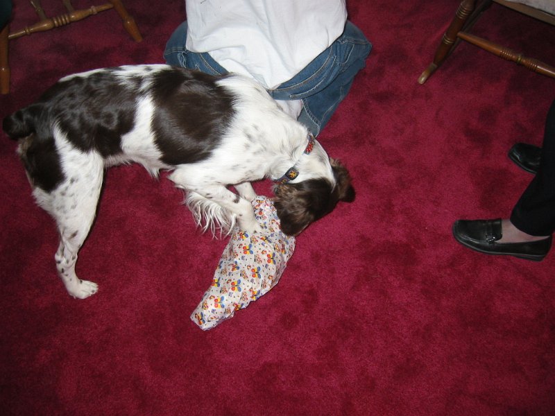 IMG_0002.JPG - And he opened his own.