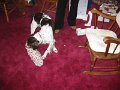 04xmas002