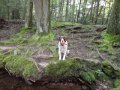 DSC00225