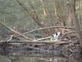 DSC00570