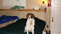DSC01438