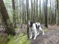 DSC01450