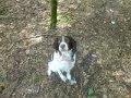 DSC01779