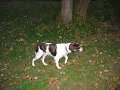 IMG_0030