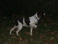 IMG_0035