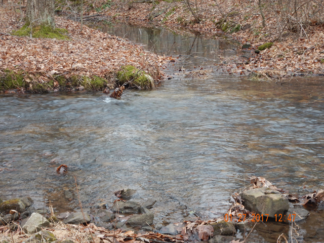 DSCN1836.jpg - The streams hold a special beauty this time of year.  Those who stay indoors miss all the majesty.                               