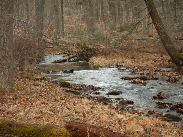 DSCN1837.jpg - Riffles and pools, riffles and pools.  Our time ran out before the stream.                               
