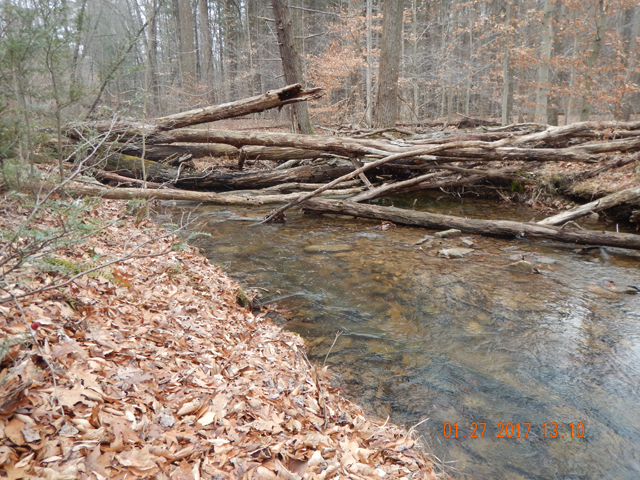 DSCN1838.jpg - But, while the stream looked good, the fish refused to bite.                               