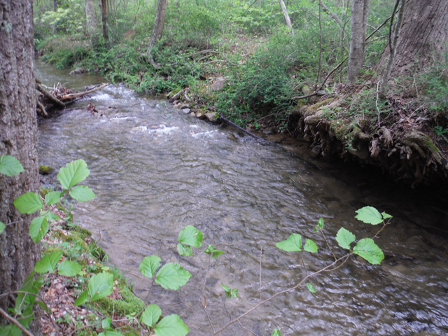 DSCF9272.jpg