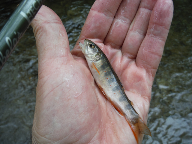 DSCF9275.jpg