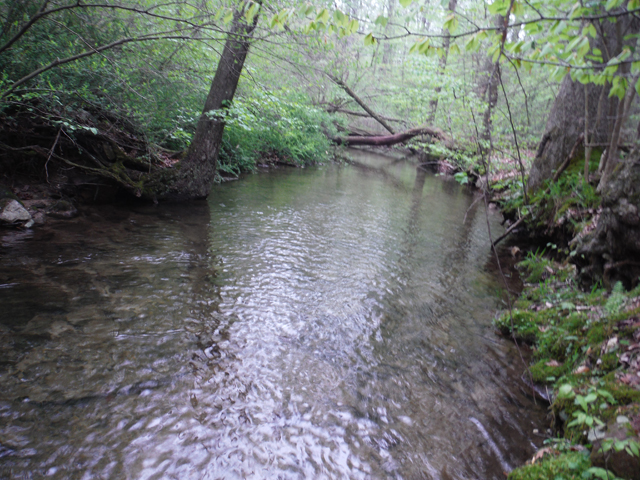 DSCF9276.jpg