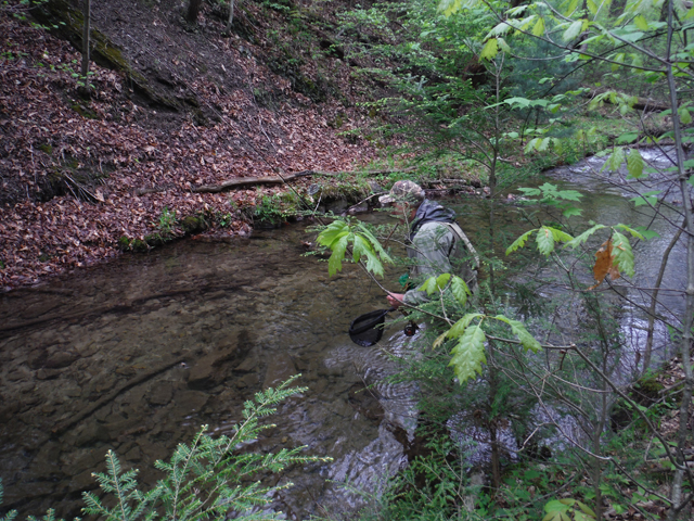 DSCF9277.jpg