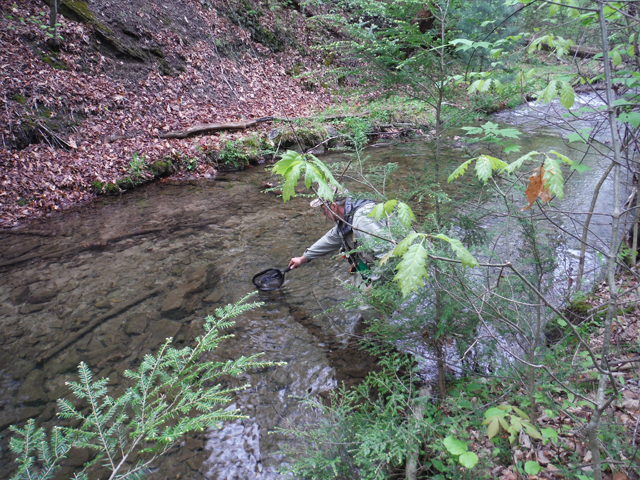 DSCF9278.jpg