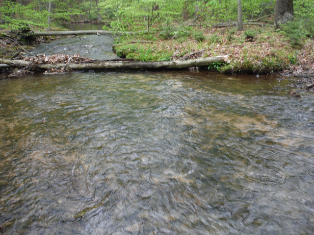 DSCF9292.jpg