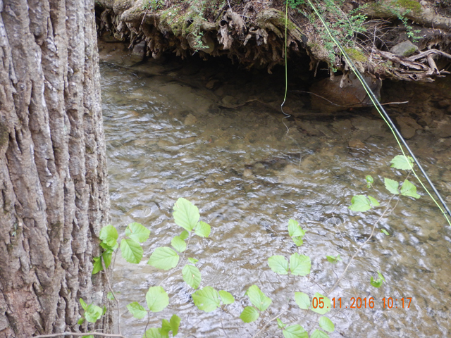DSCN1199.jpg -                                
