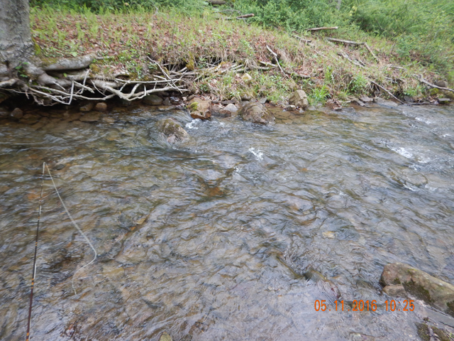 DSCN1202.jpg -                                