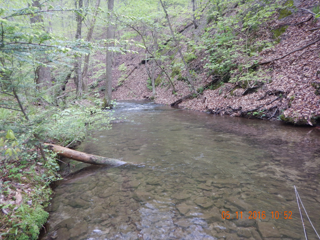 DSCN1205.jpg -                                