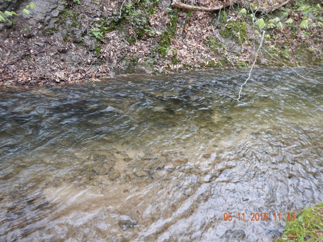 DSCN1210.jpg -                                