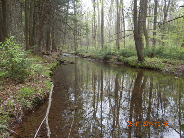 DSCN1216.jpg -                                
