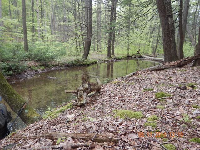 DSCN1219.jpg -                                