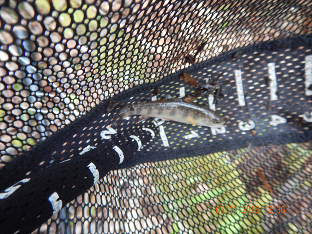 DSCN1220.jpg -                                