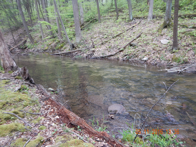 DSCN1221.jpg -                                