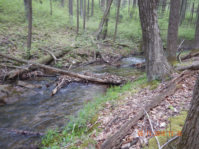 DSCN1222.jpg -                                